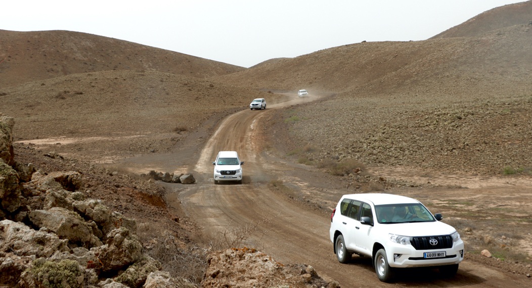 Touren und Ausflüge auf und ab Fuerteventura